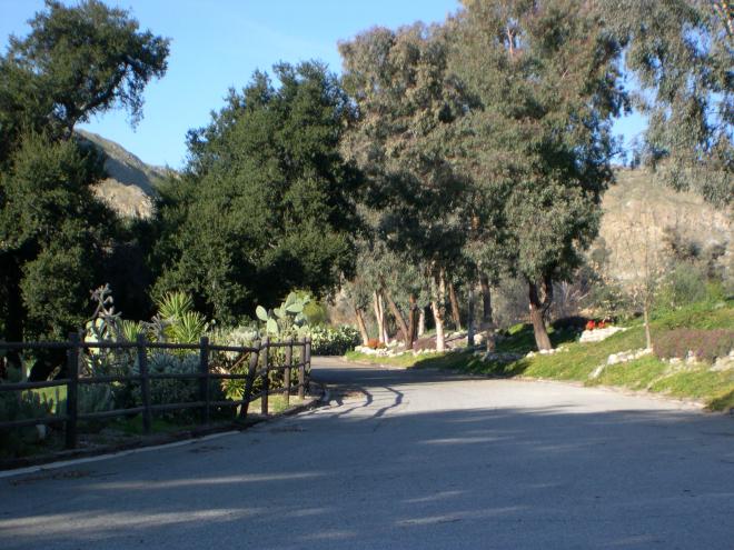 Castile Canyon Scientology School, driveway from entrance gate
