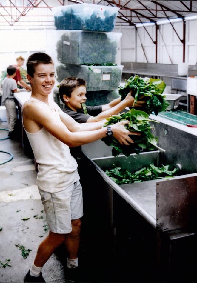 Castile Canyon Scientology School, two boy students washing and packing greens