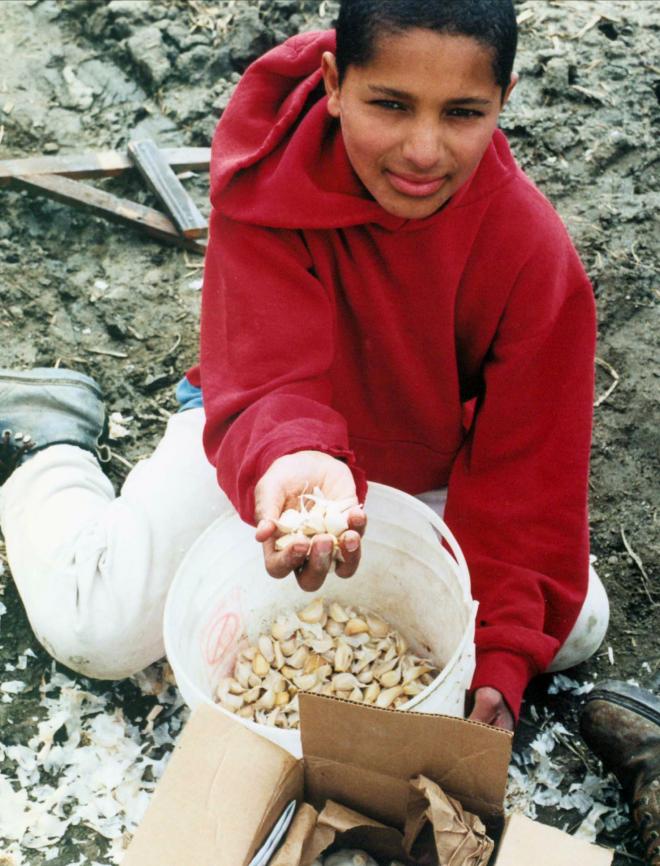 Castile Canyon Scientology School, student showing garlic harvest