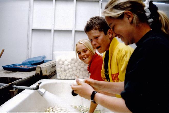 Castile Canyon Scientology School, students cleaning and packing garlic 