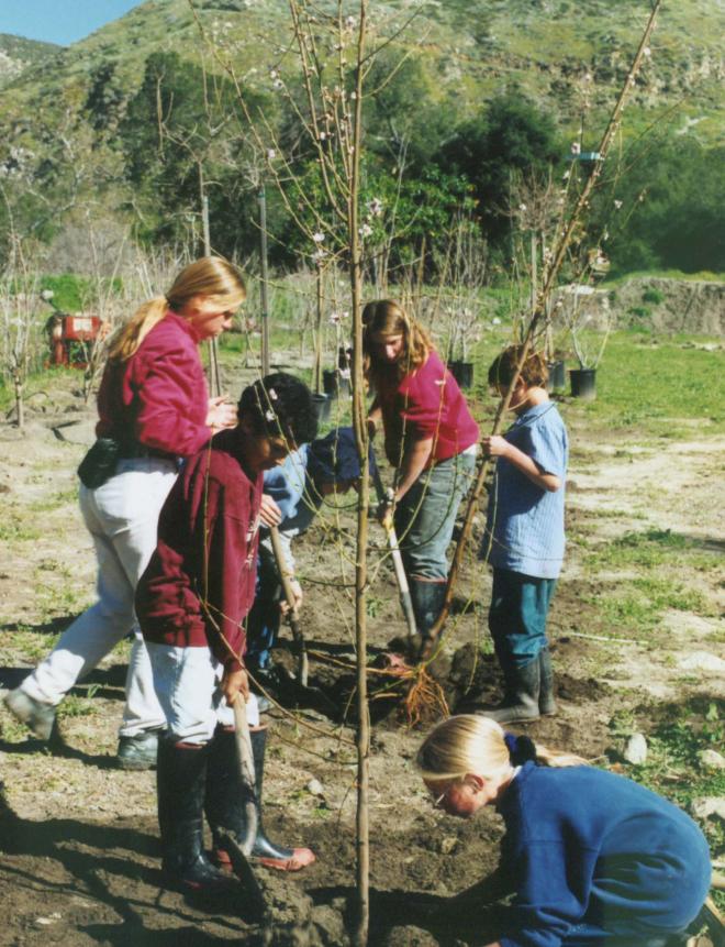 Castile Canyon Scientology School, students planting trees