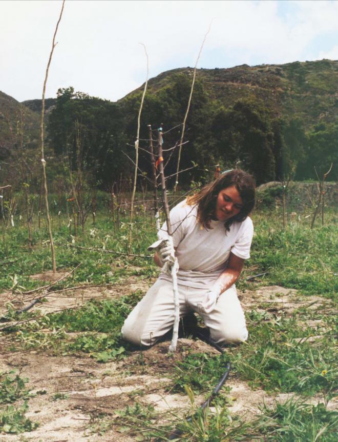 Castile Canyon Scientology School, girl chalking a tree