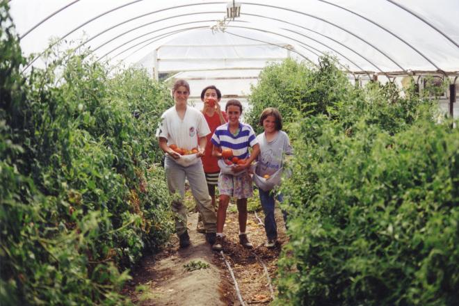 Castile Canyon Scientology School, students in the greenhouse, showing tomato harvest