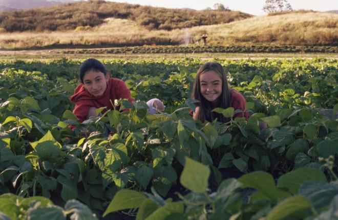 Castile Canyon Scientology School, girls playing in the fields
